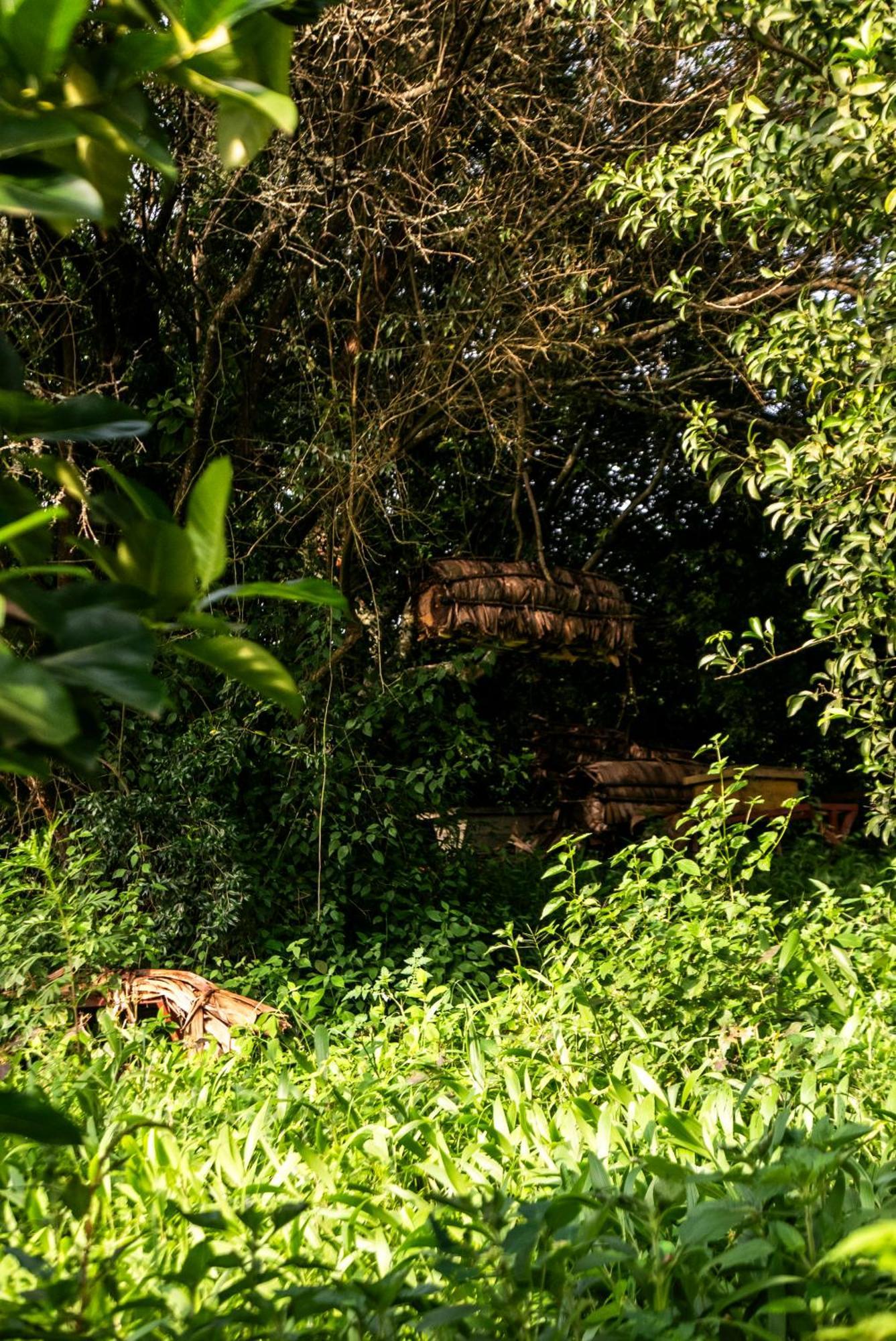 Akagera Transit Lodge Exteriör bild